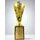 Spiral Star Gold Trophy
