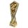 Apex Music Trophy