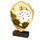 Arden Classic Swimming Real Wood Shield Trophy