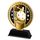 Sentinel Classic Stainless Steel Floorball Trophy