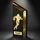 ATAMI Modern Metal & Wood Football Trophy