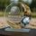 Hopper Petanque Glass Award