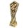 Apex Classic Music Trophy