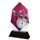 Cleo Male Swimming Stopwatch Trophy