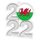 Welsh Flag Silver Acrylic 2022 Medal