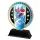 Sentinel Stainless Steel Alpine Skiing Trophy