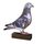 Sierra Pigeon Racing Real Wood Trophy