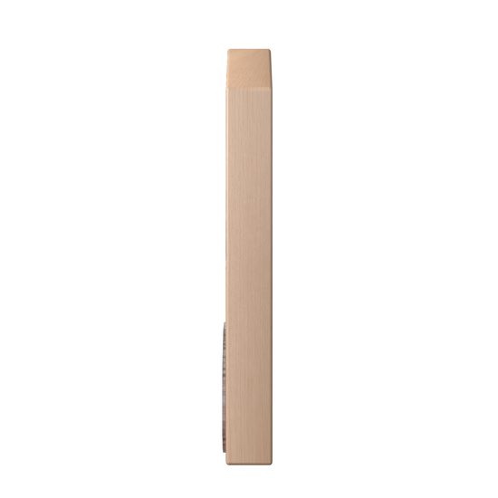 GALENA Modern Metal & Wood Fishing Trophy