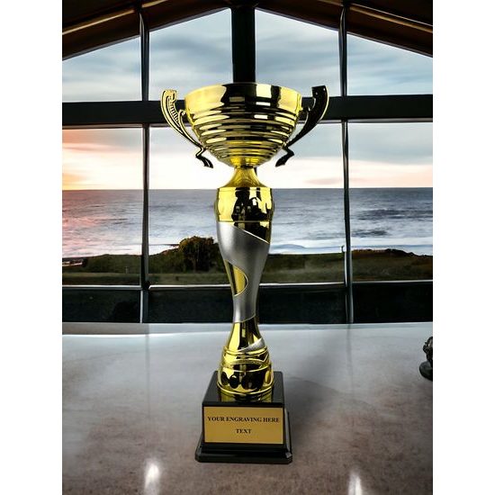 Luxury Gold and Silver Striped Cup