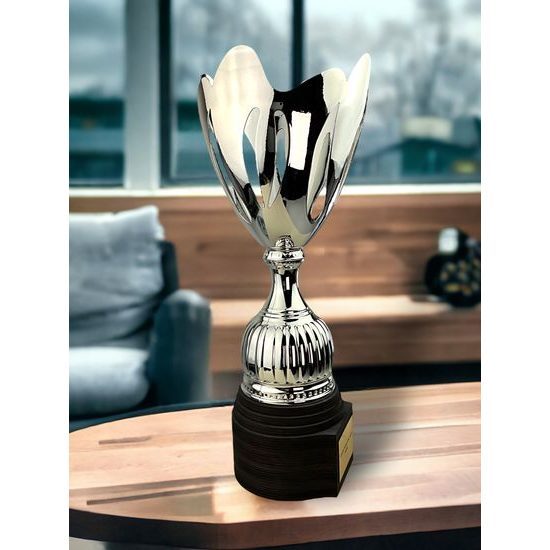 Raton Silver Laser Cup