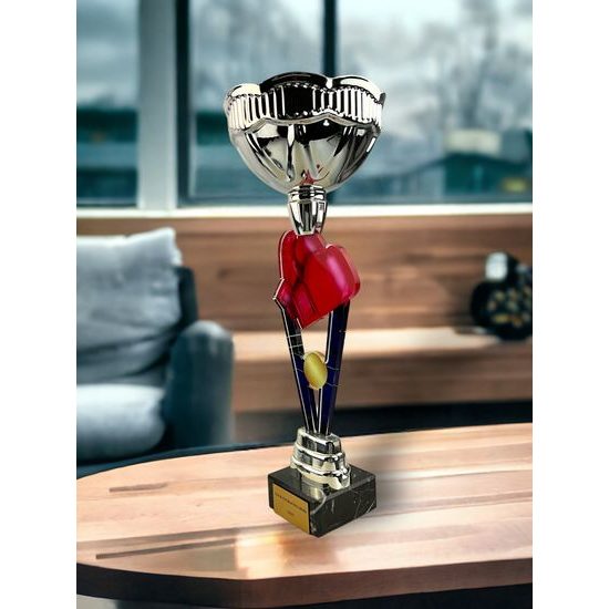Napoli Boxing Silver Cup Trophy