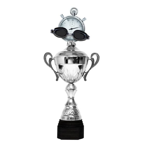 Minot Silver Swimming Cup