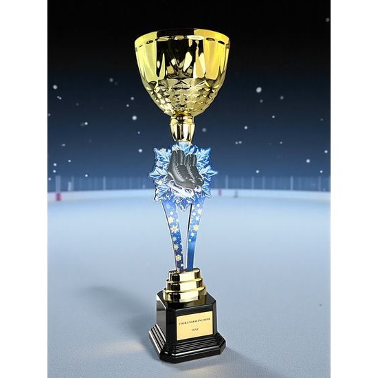 Provo Ice Skating Gold Trophy