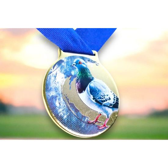 Sacul Pigeon Color Texture 3D Print Medal