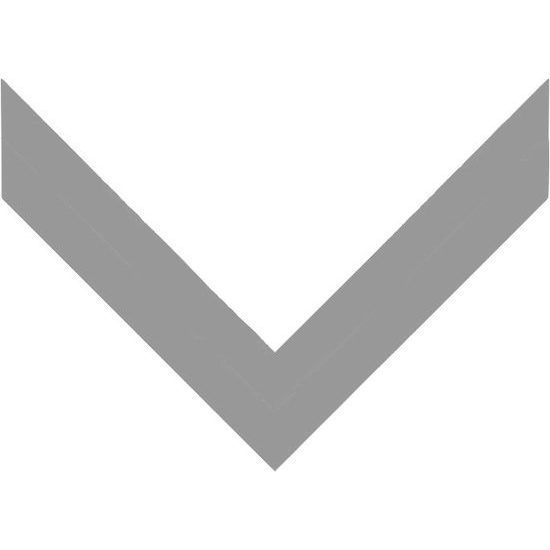 Silver Ribbon