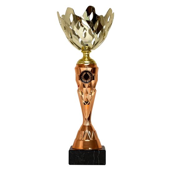 Gold and Bronze Cup ECL2022/25