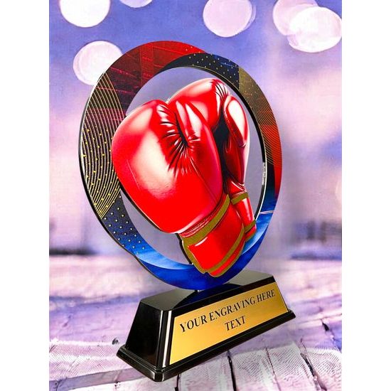 Onyx Stainless Steel Boxing Trophy