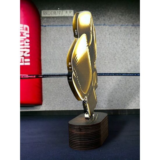 Altus Classic Boxing Trophy