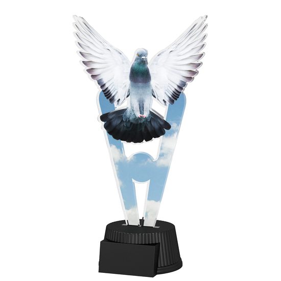 Oxford Pigeon Trophy