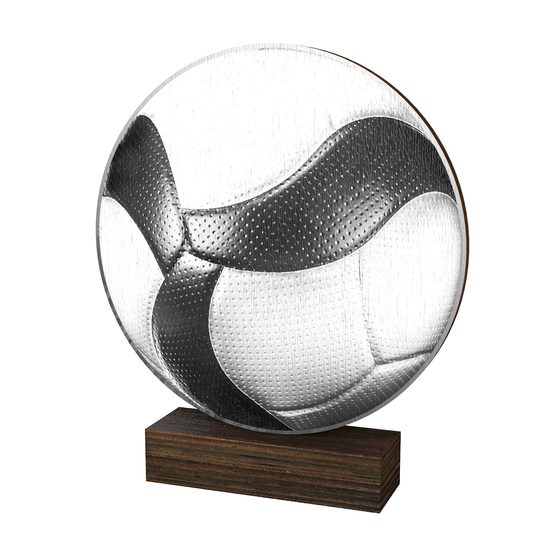 Sierra Classic Volleyball Ball Real Wood Trophy