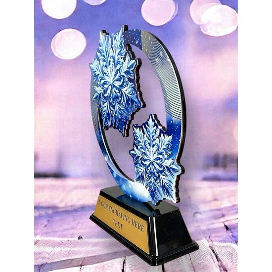 Onyx Stainless Steel Winter Trophy