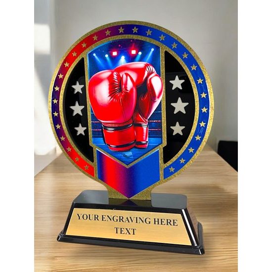 Sentinel Stainless Steel Boxing Arts Trophy