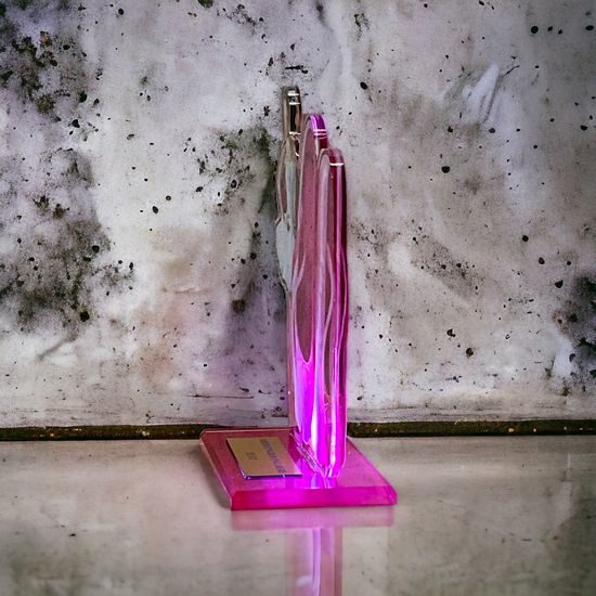 Cannes Printed Acrylic Ballet Trophy