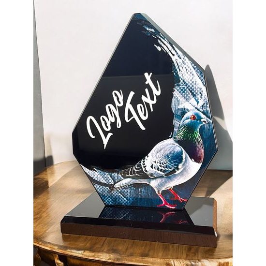 Destin Pigeon Racing Acrylic Award