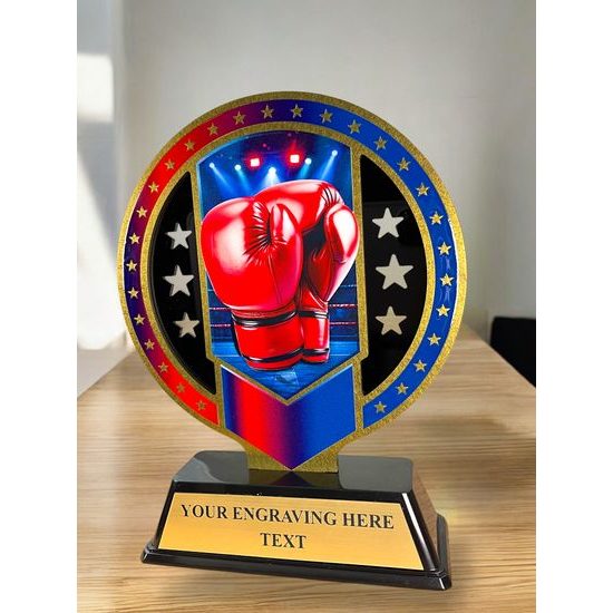 Sentinel Stainless Steel Boxing Arts Trophy
