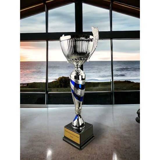 Denver Silver and Blue Cup on a Black PVC Base