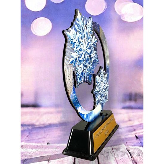 Onyx Stainless Steel Winter Trophy