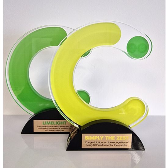 Fleming Custom Made Acrylic Award