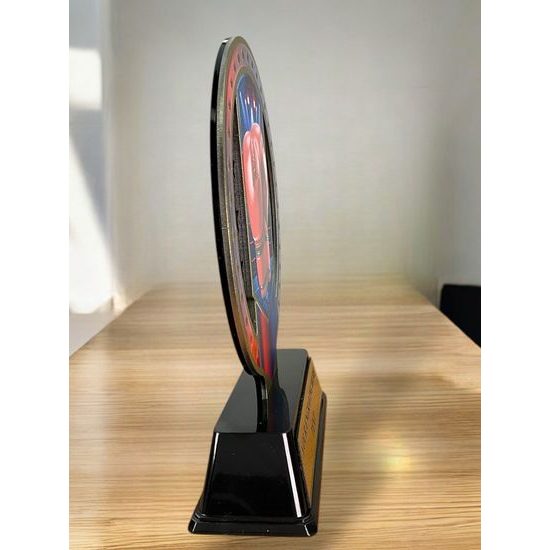 Sentinel Stainless Steel Boxing Arts Trophy
