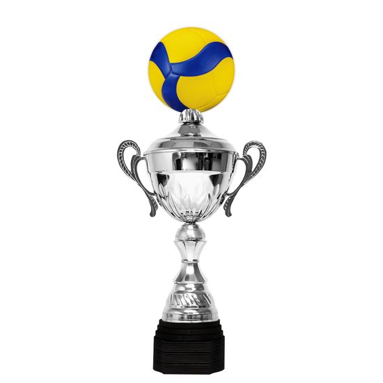 Minot Silver Volleyball Cup
