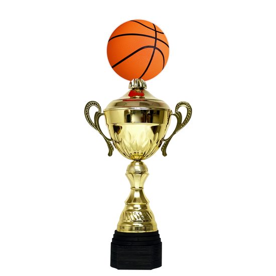 Minot Gold Basketball Cup