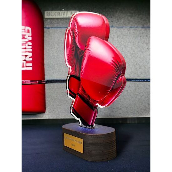 Altus Color Boxing Trophy