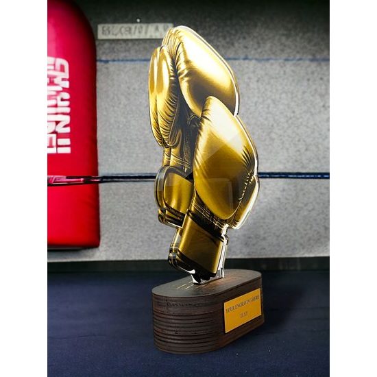 Altus Classic Boxing Trophy