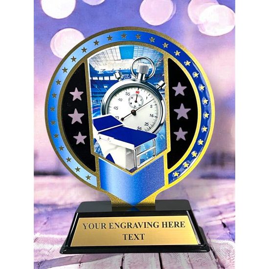 Sentinel Stainless Steel Swimming Trophy