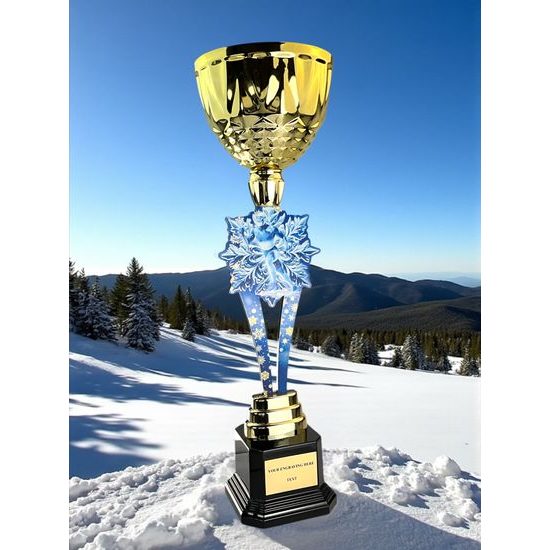 Provo Cross-Country Skiing Gold Trophy