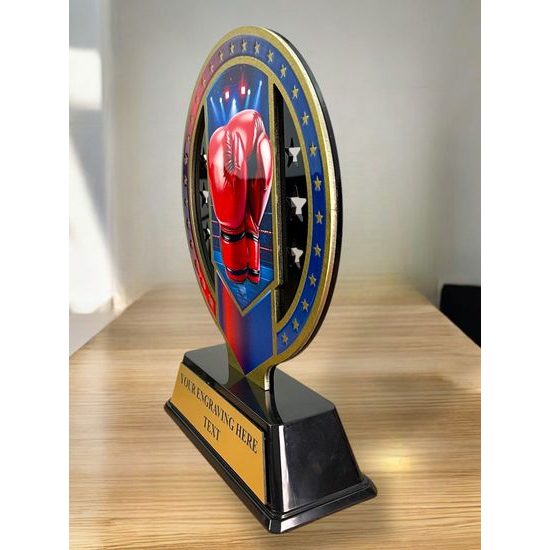 Sentinel Stainless Steel Boxing Arts Trophy