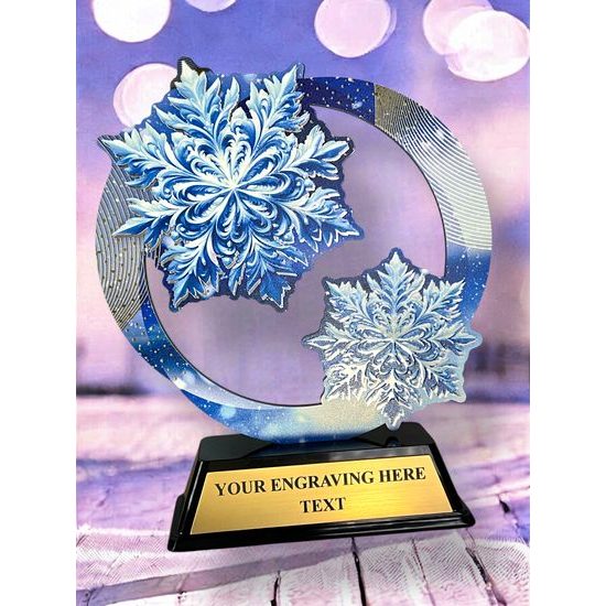 Onyx Stainless Steel Winter Trophy