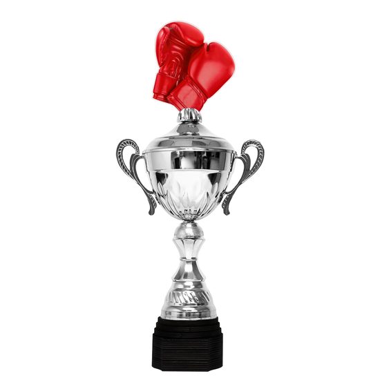 Minot Silver Boxing Cup