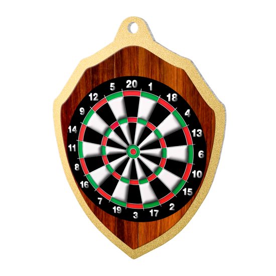 Molten Stainless Steel Darts Medal
