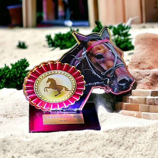 Cannes Printed Acrylic Equestrian Rosette Trophy