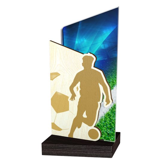 Fusion Soccer Trophy