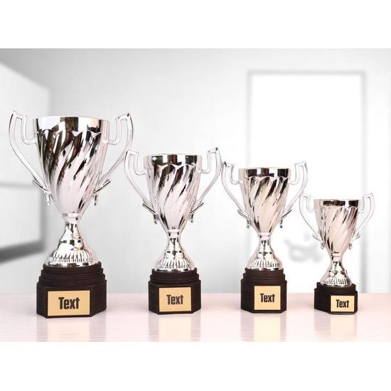 Ferdinand Silver Cup Trophy