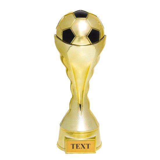 Houston Soccer Trophy