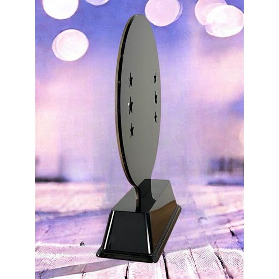 Sentinel Stainless Steel Darts Trophy