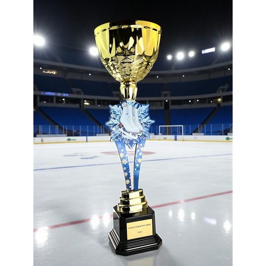 Provo Ice Skating Gold Trophy
