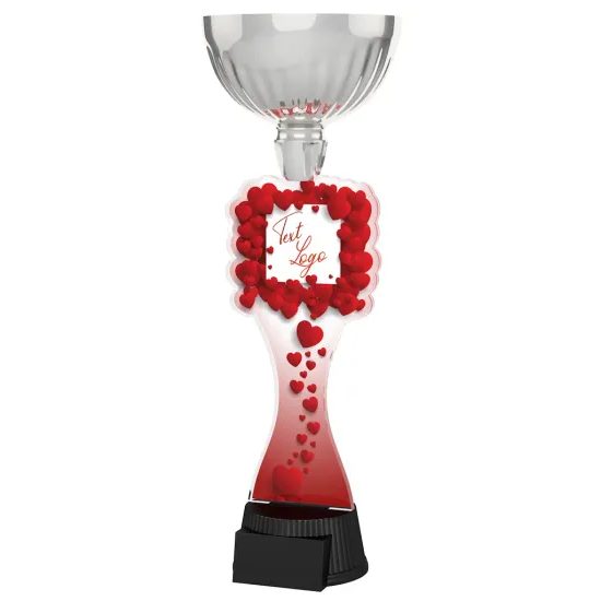 Vancouver Valentine Silver Cup Trophy